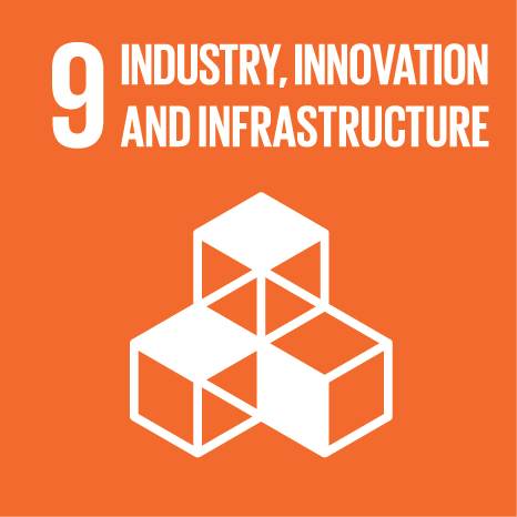SDG Icon
