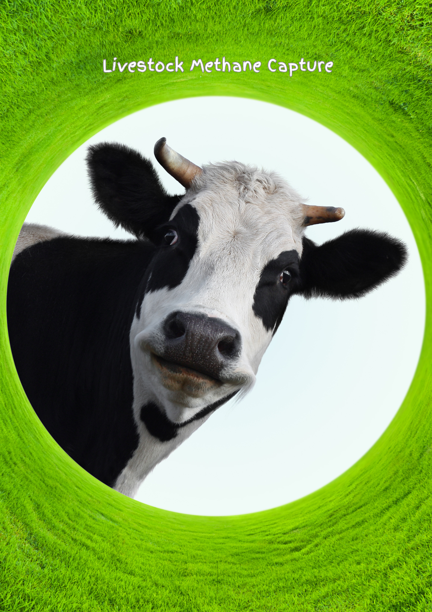 Monetizing Emissions: Smart Livestock Management for Sustainable Livelihoods via Carbon Credits in Bangladesh