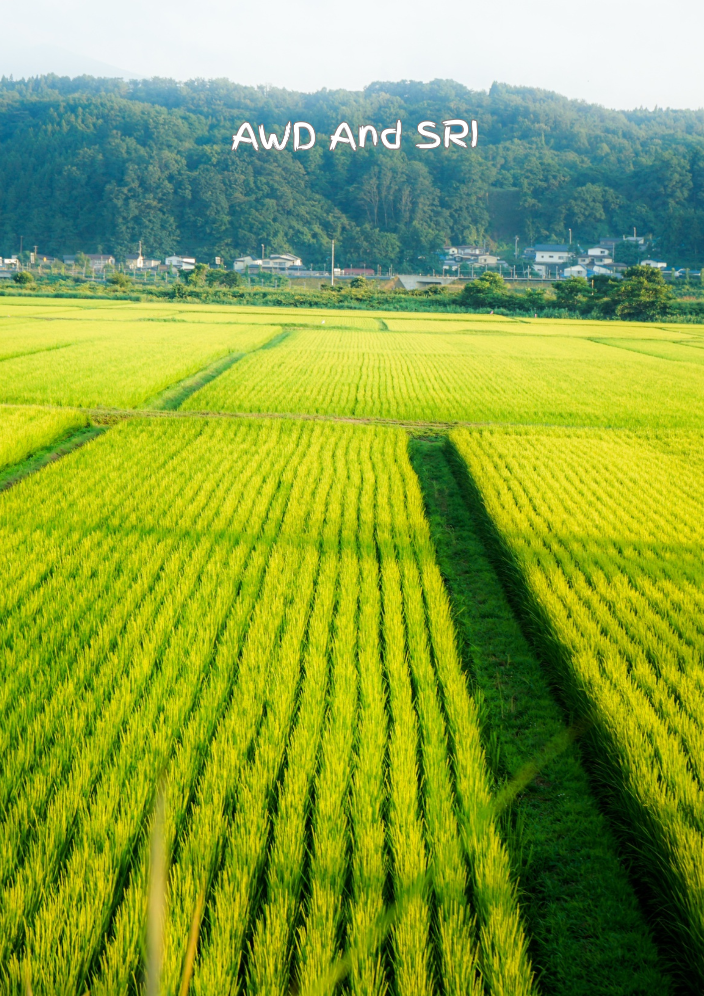 Green Delta AWD and SRI Carbon Project (Article 6: G2G)